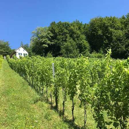 Appartement Bio-Weingut Leitner à Leutschach Extérieur photo