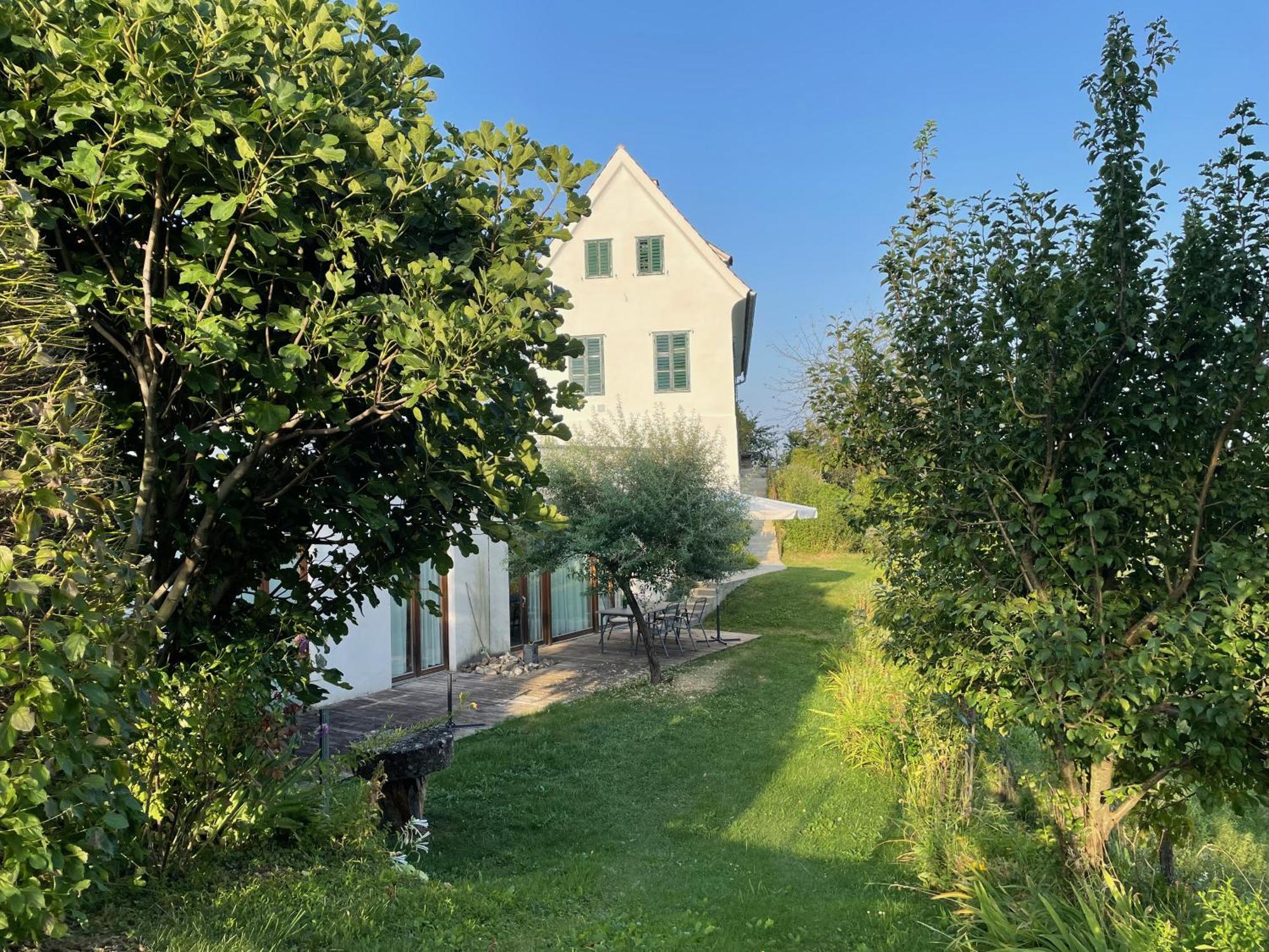 Appartement Bio-weingut Leitner