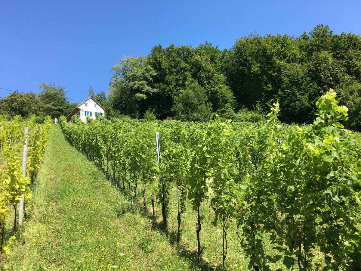Appartement Bio-weingut Leitner Leutschach